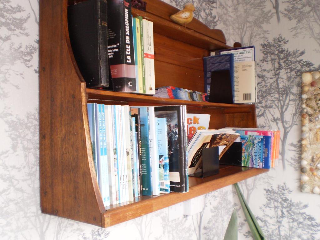 アクティビティ