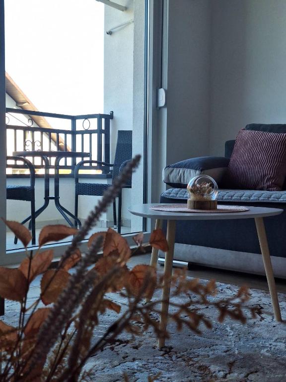 Apartman Šara Vrnjačka Banja - 5 minuta do promenade, parking, terasa - 3