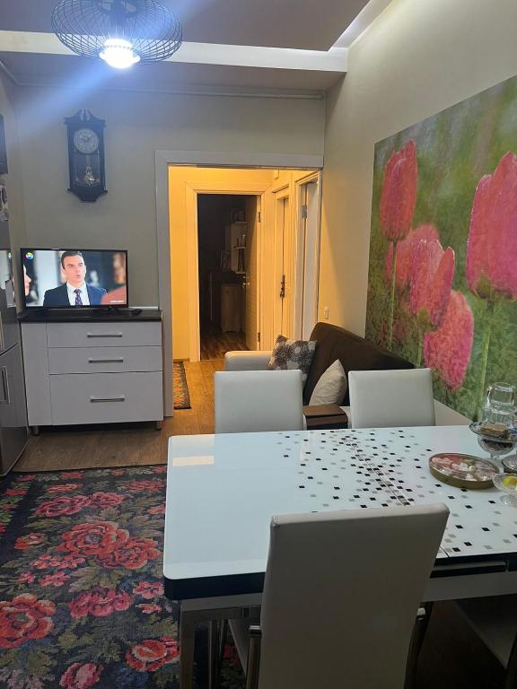 Cozy Apart for Cop29, Baku