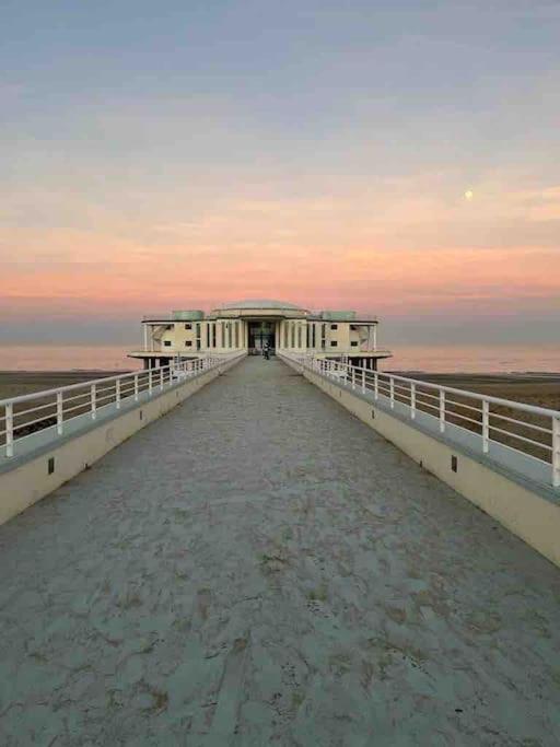 Cosy Flat, Senigallia