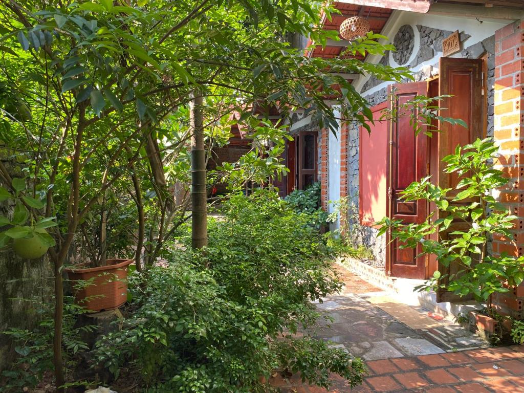 Tam coc Ngo Dong homestay