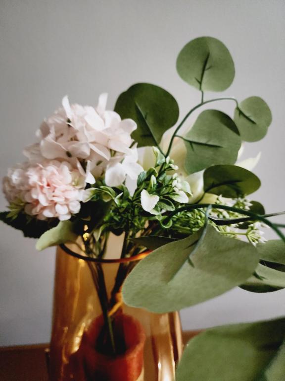 Beagle Sands, Pretoria