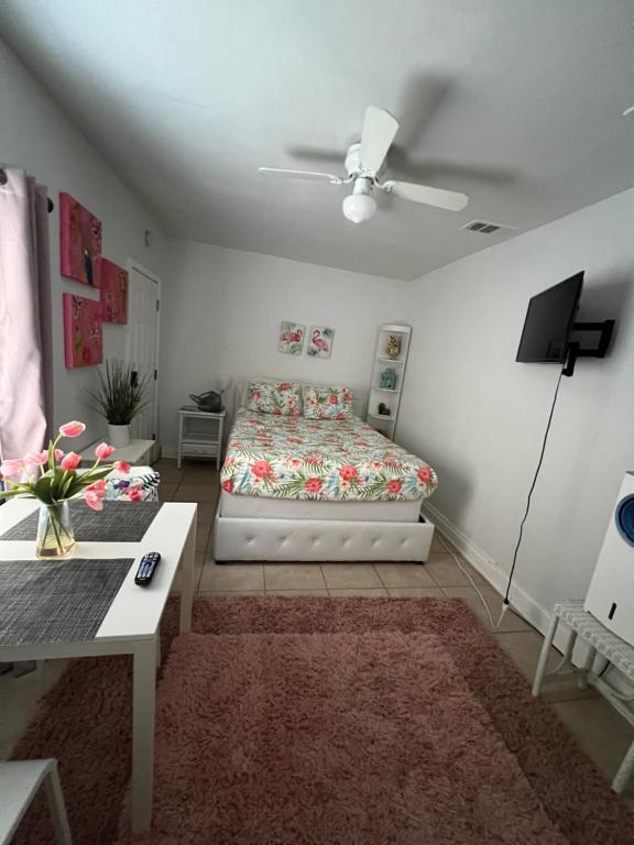 Cozy studio conveniently, Tampa