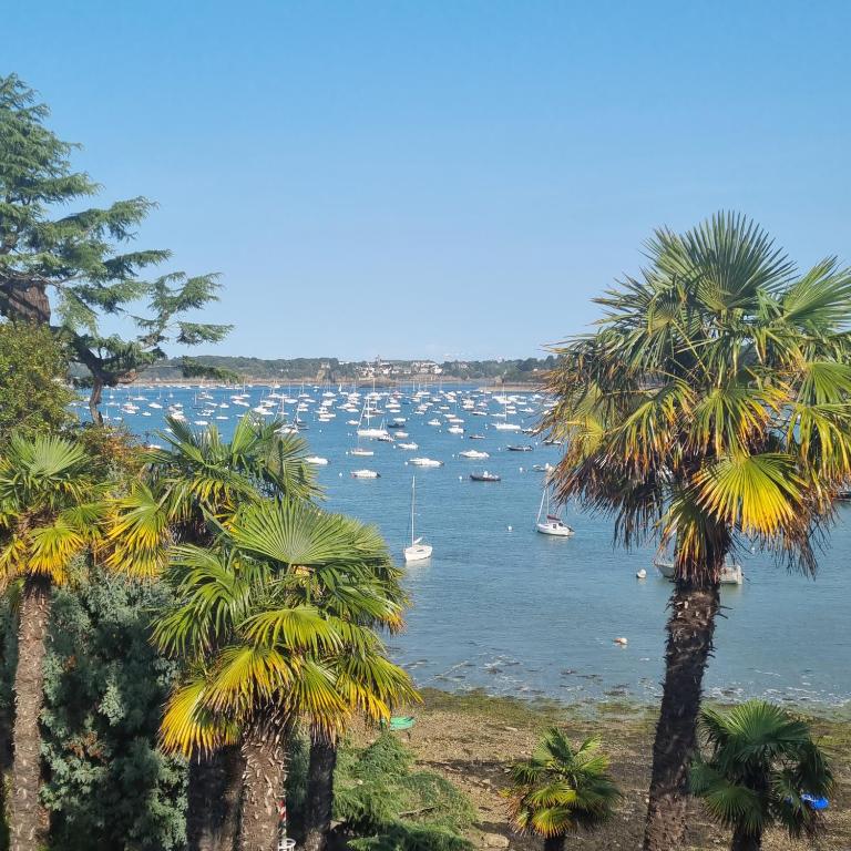 Studiodinardchezanne - 3