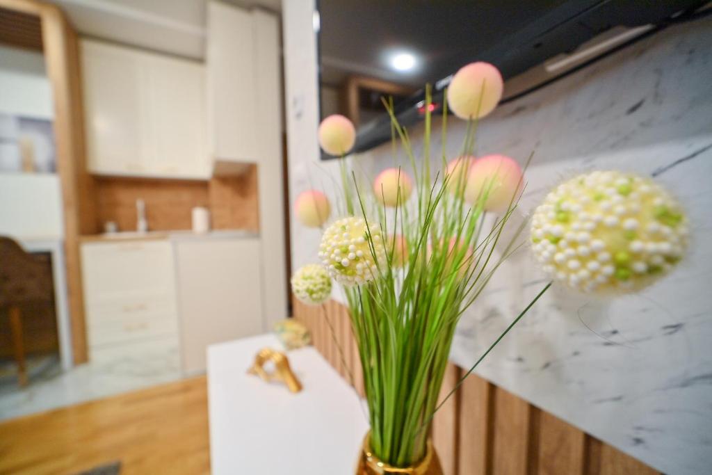 Apartman 36 Vip Bogic - 2