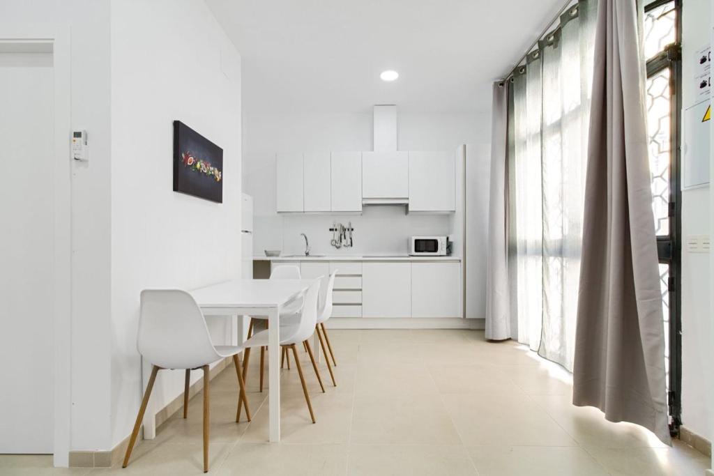 ESTUDIO EN MÁLAGA CENTRO. 45 - 3