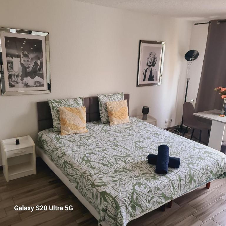 Studio 114 Robin - grand lit double, balcon, Saint-Louis