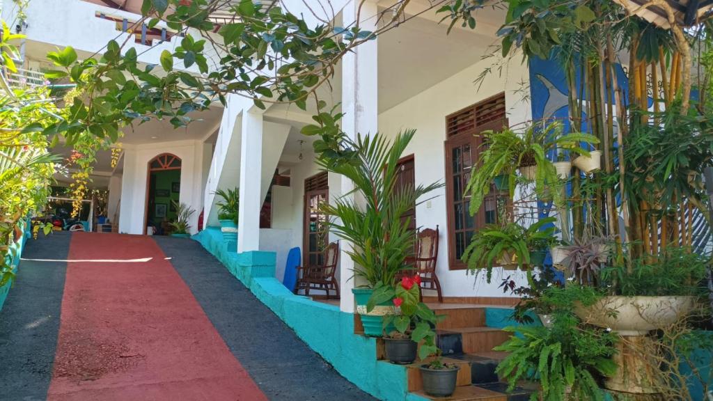 Surf Citadel, Matara