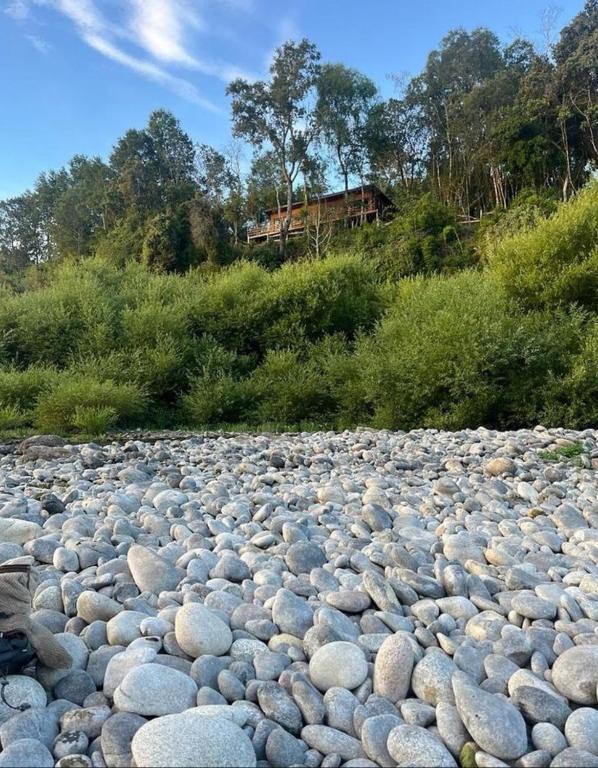 Ribera Coipue, Coipue