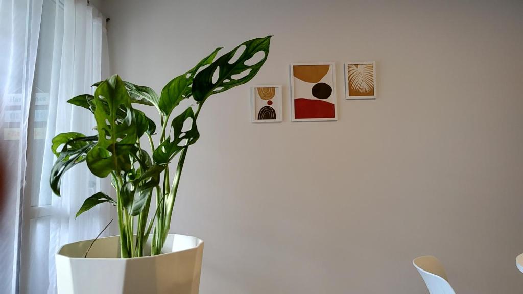 Agradable departamento en Alta Córdoba - 5