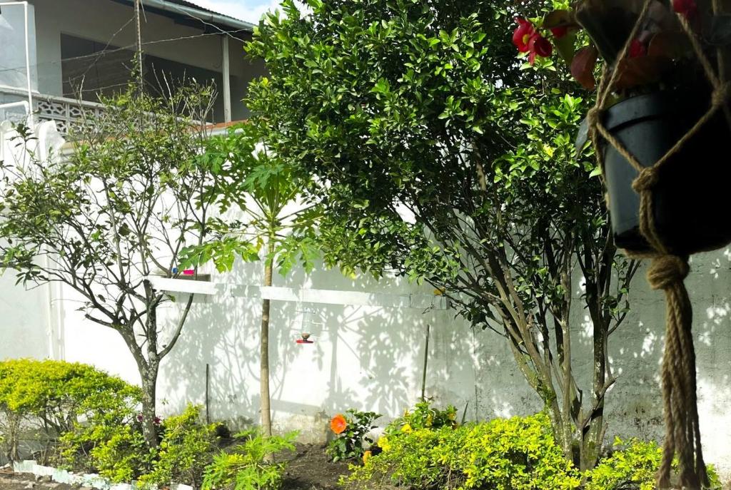 Casa Turística la Villa de Poli - 5