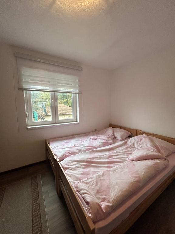 Apartments Elida - 5