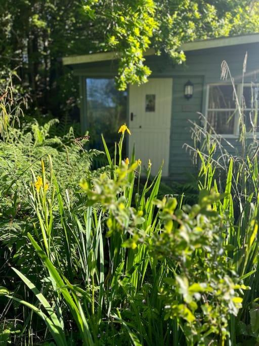 The Artists Studio, Saint Cleer