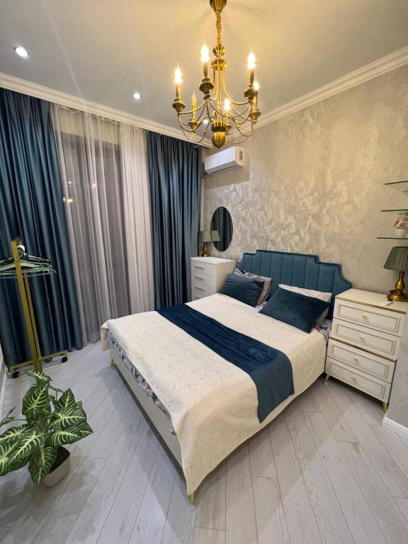 Modern and Stylish, Baku