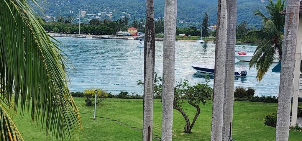 Dejai On The Bay, Montego Bay