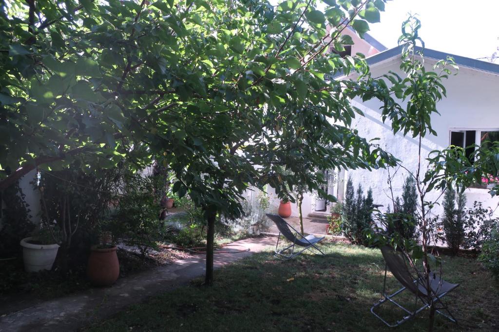 Toulousaine arborée - parking public, Toulouse