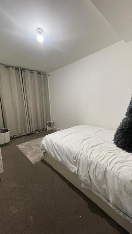 Spacious Room In Central, Londýn