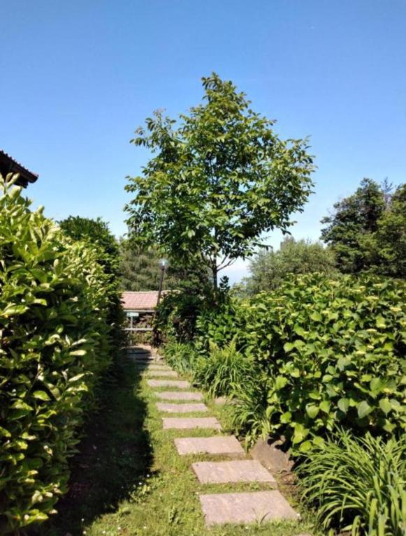 Maison Al Nocin - 3