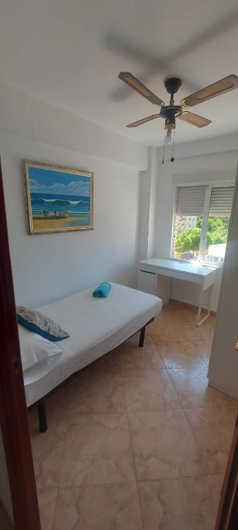 Piso Paloma 1 - 4