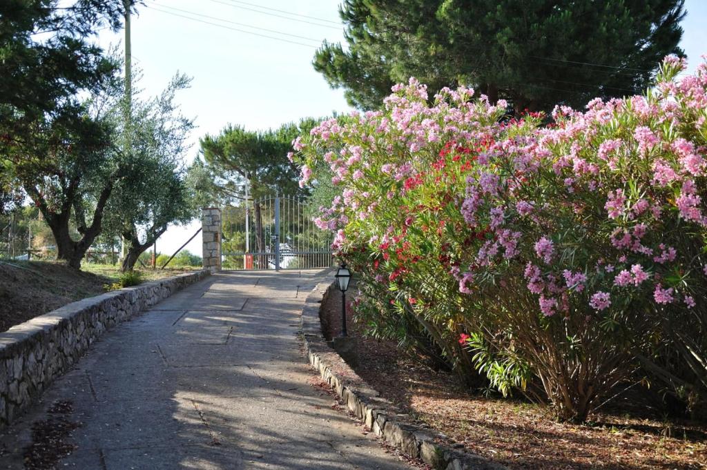 Villa Gualdo piscina vista mare - 5
