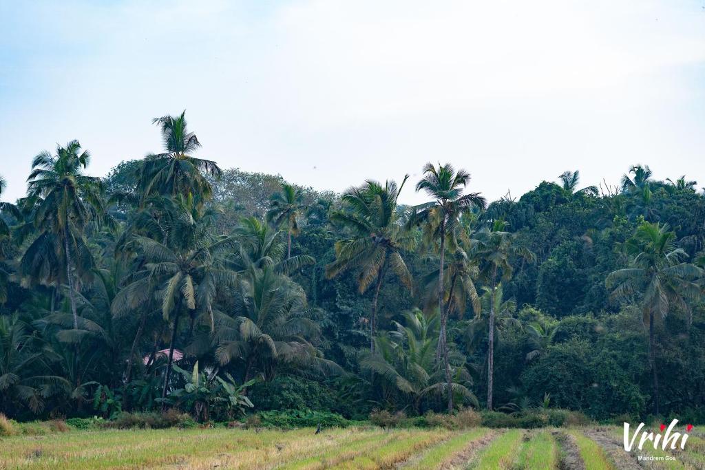 Surrounding environment