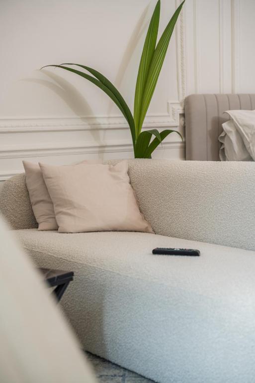 Appartement Belle Époque cœur de ville -AC- - 5