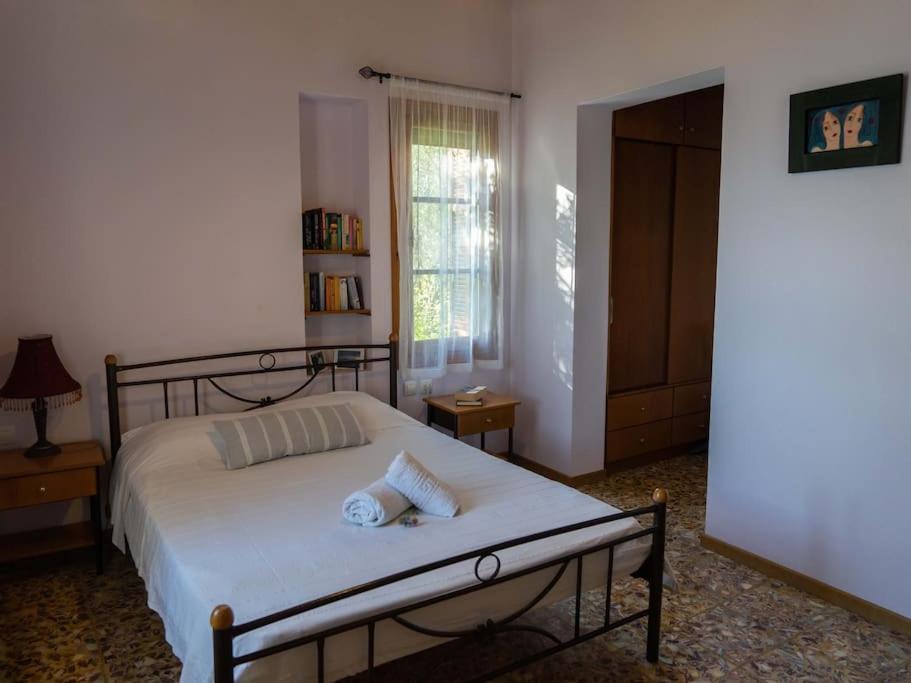 Ảnh 2