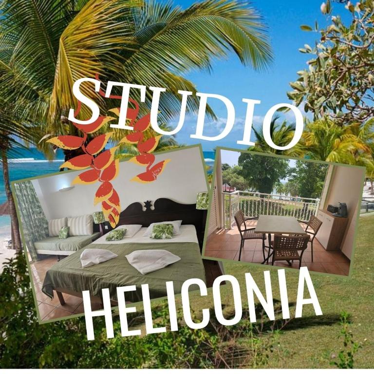 Heliconia, studio vue mer, Sainte-Anne, Sainte-Anne