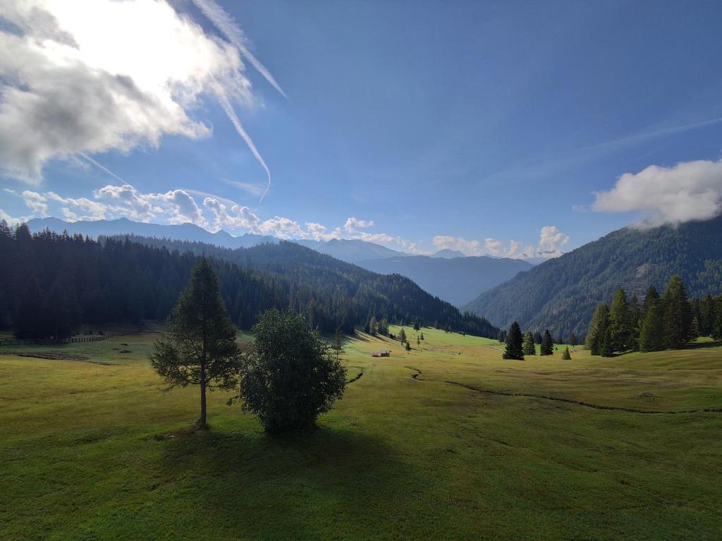 Hög Alm Serfaus - 2