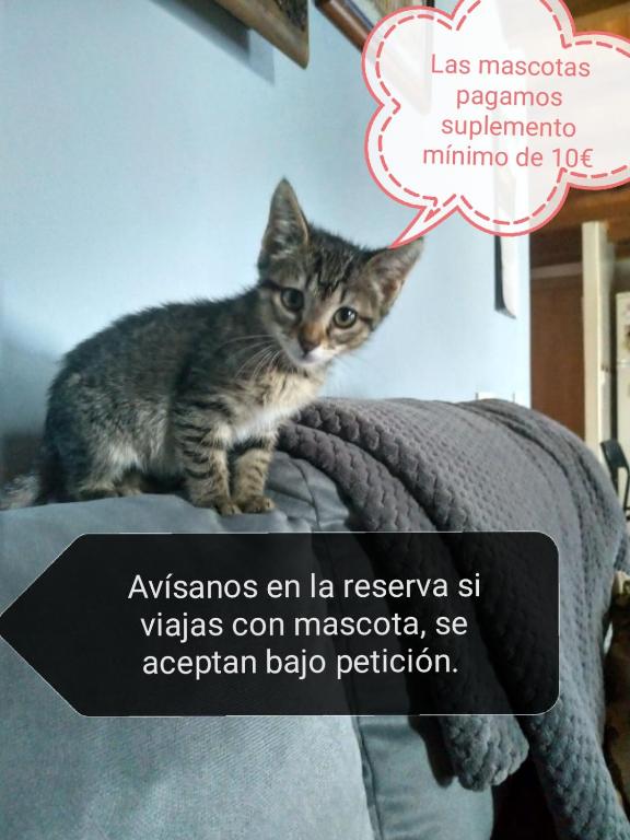Alojamiento Quintanilla - 2