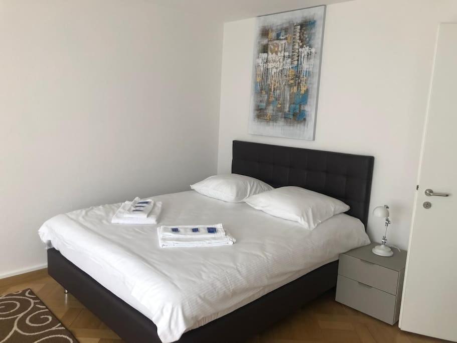 Bright studio in the city center - Greenyard 1, Curych