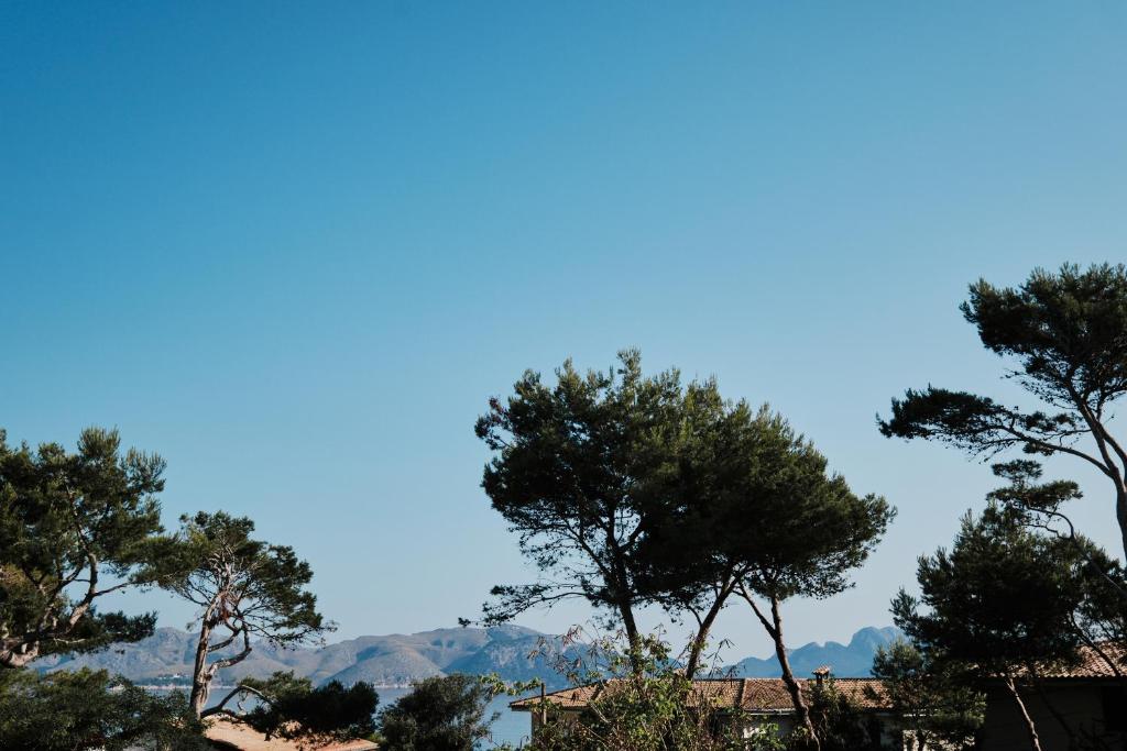 Prinsotel Mal Pas - Adults Only — Attractions in the area in Alcudia, Balearic Islands