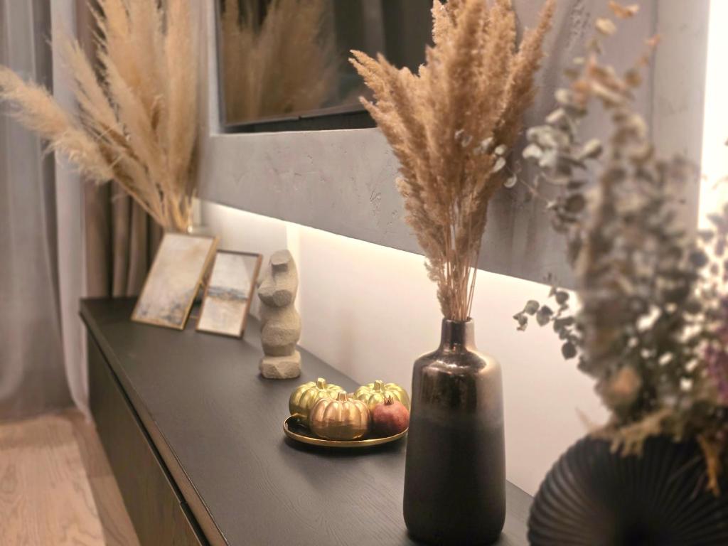 Premium Simfonija Apartment - 5