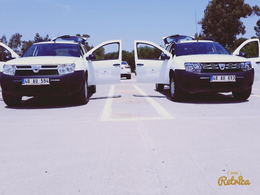 アクティビティ