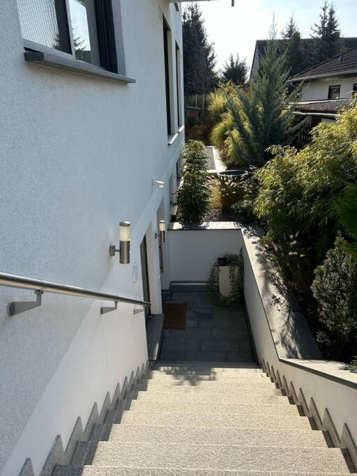 Charmante Einliegerwohnung im grünen Katzwang - 2