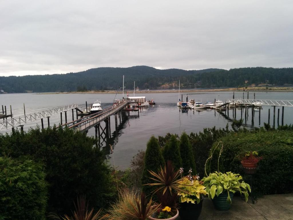 Salty Towers Ocean Front Cottages photo