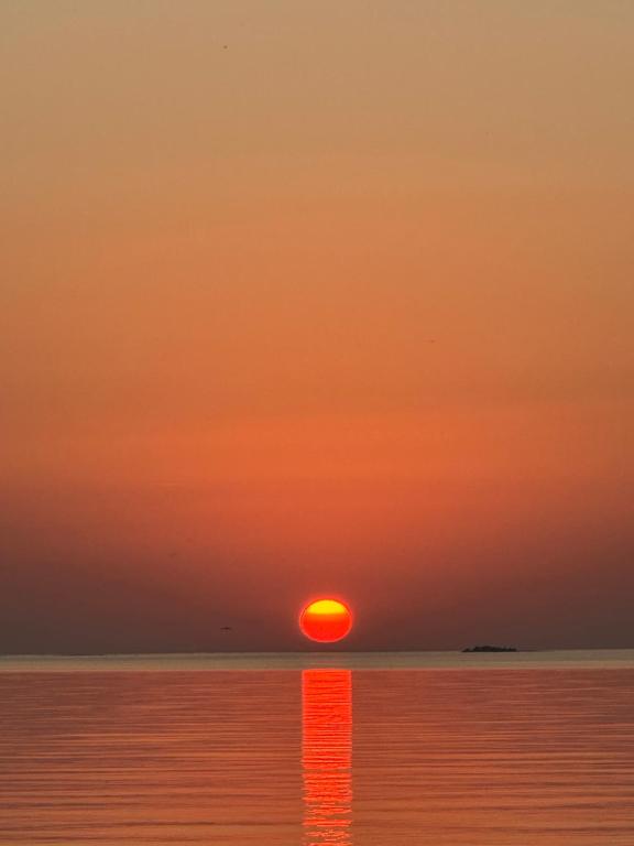 99 steg från Vänerns strand, Sjötorp