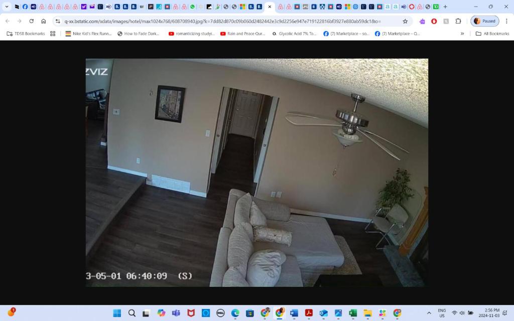 Ảnh 5