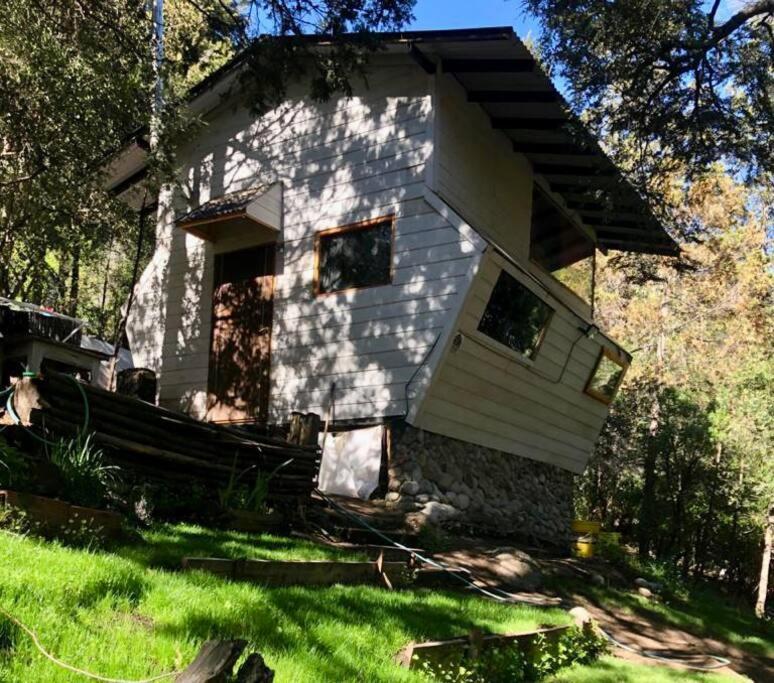 Cabaña Huillin, Experiencia única del Bosque - 1