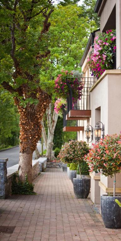 Keenans Boutique Hotel photo