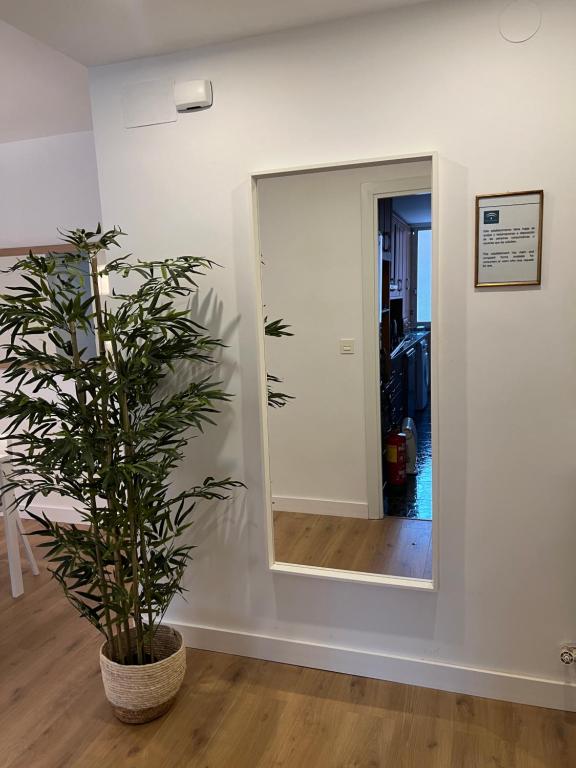 Apartamento Turismo Granada - 4
