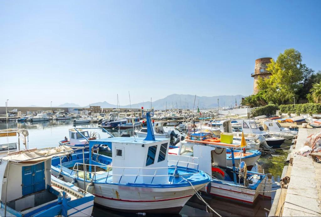 La barca sul mare - 3