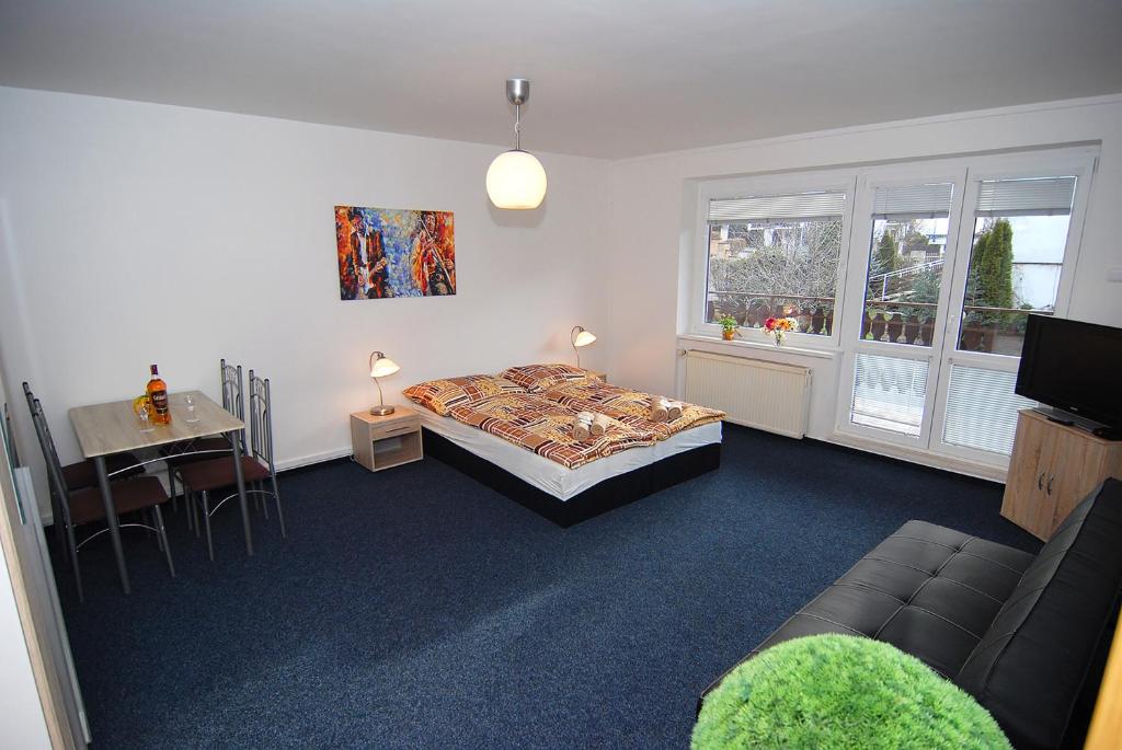 Apartmany Chodov photo