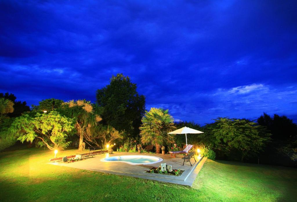 Cabañas de Turismo Araucarias del Sur - 4
