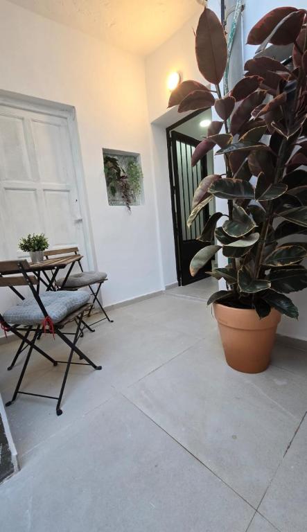 Estudio Pequeño, Conil de la Frontera