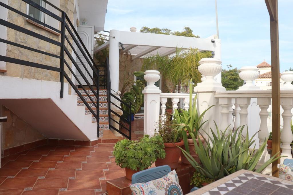 Hostal La Paloma II - 3