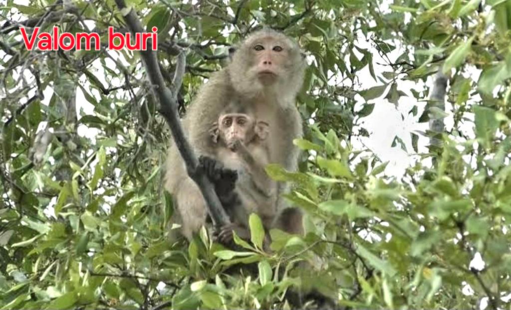 Surrounding environment