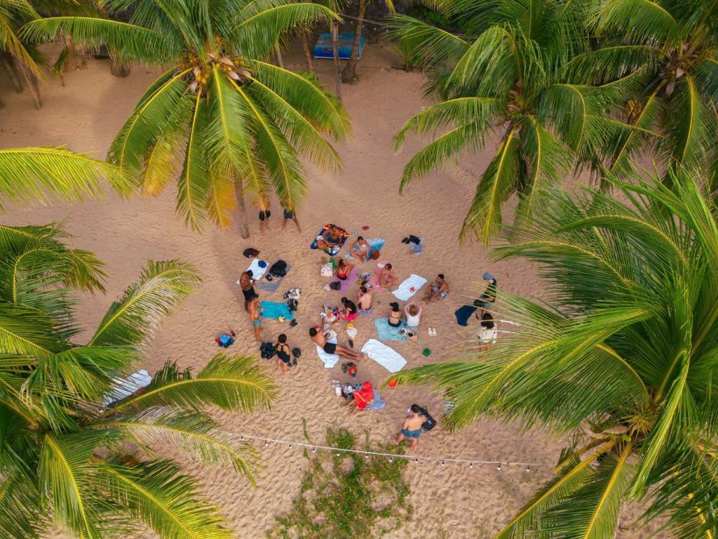 Surrounding environment