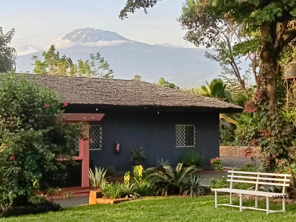 Rudi House, Msaranga