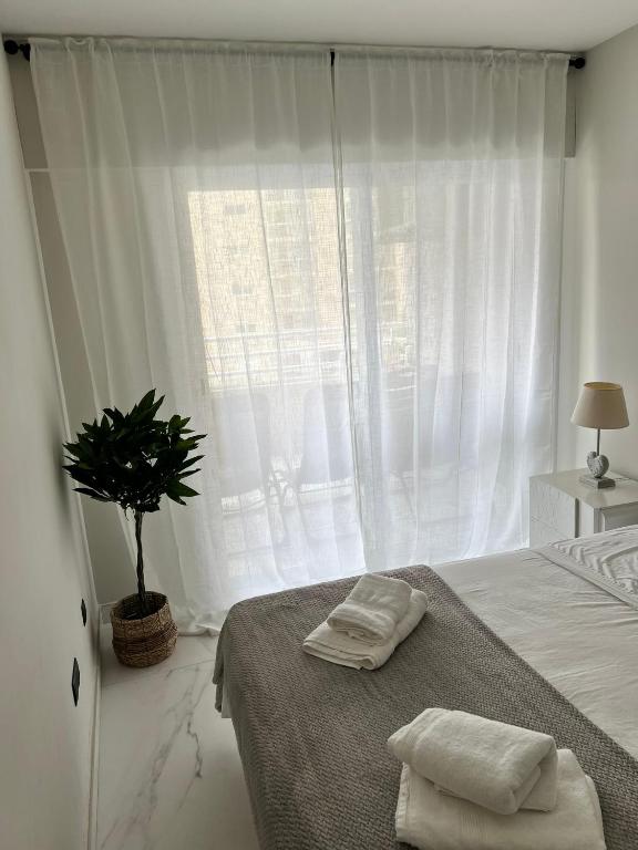 Apartment APOLO XIV - 3